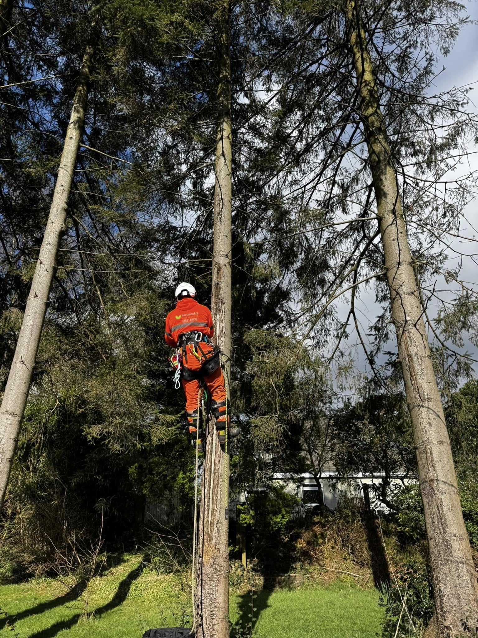 Lancashire Tree Surgeon