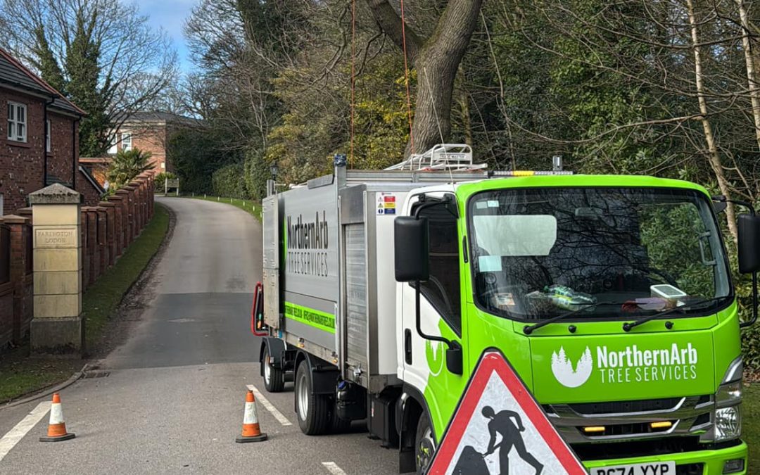 Tree Services North West