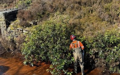 Site Clearance Chorley