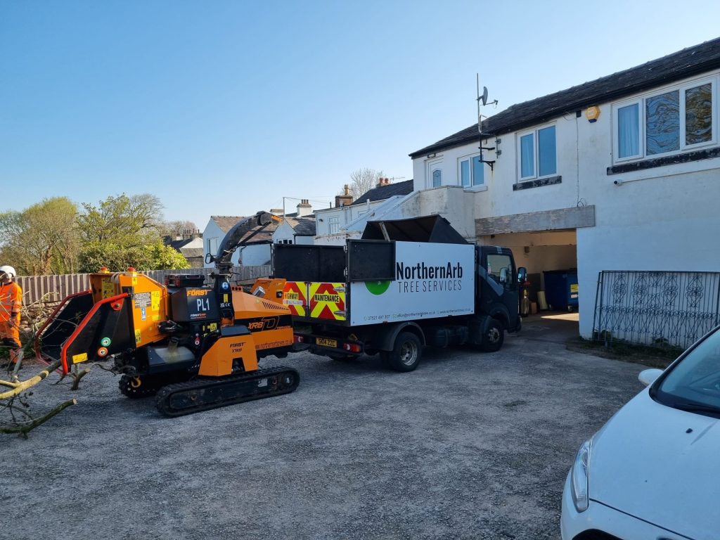 Tree Surgeon Bolton le Sands