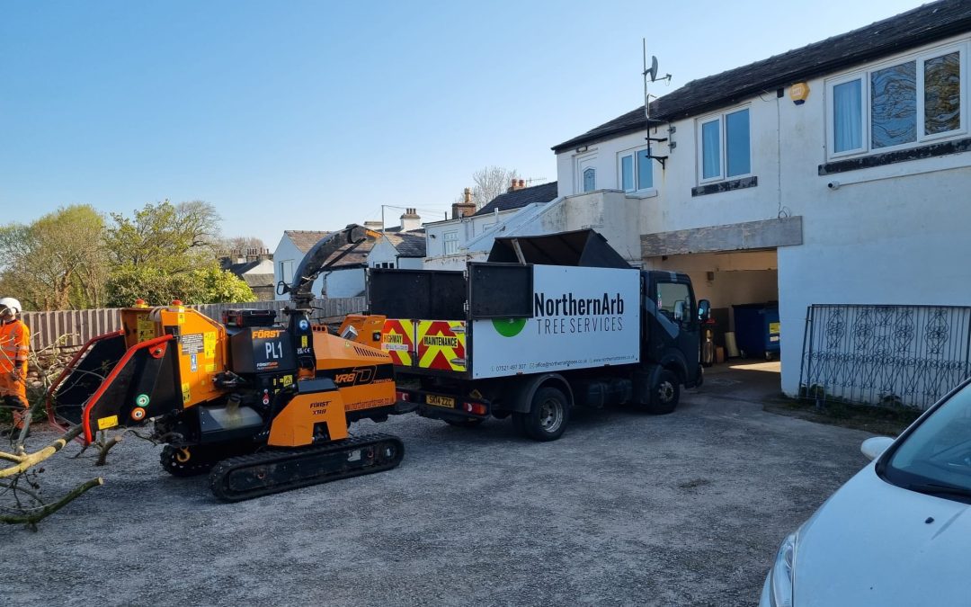 Tree Surgeon Morecambe