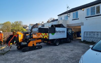 Tree Surgeon Morecambe