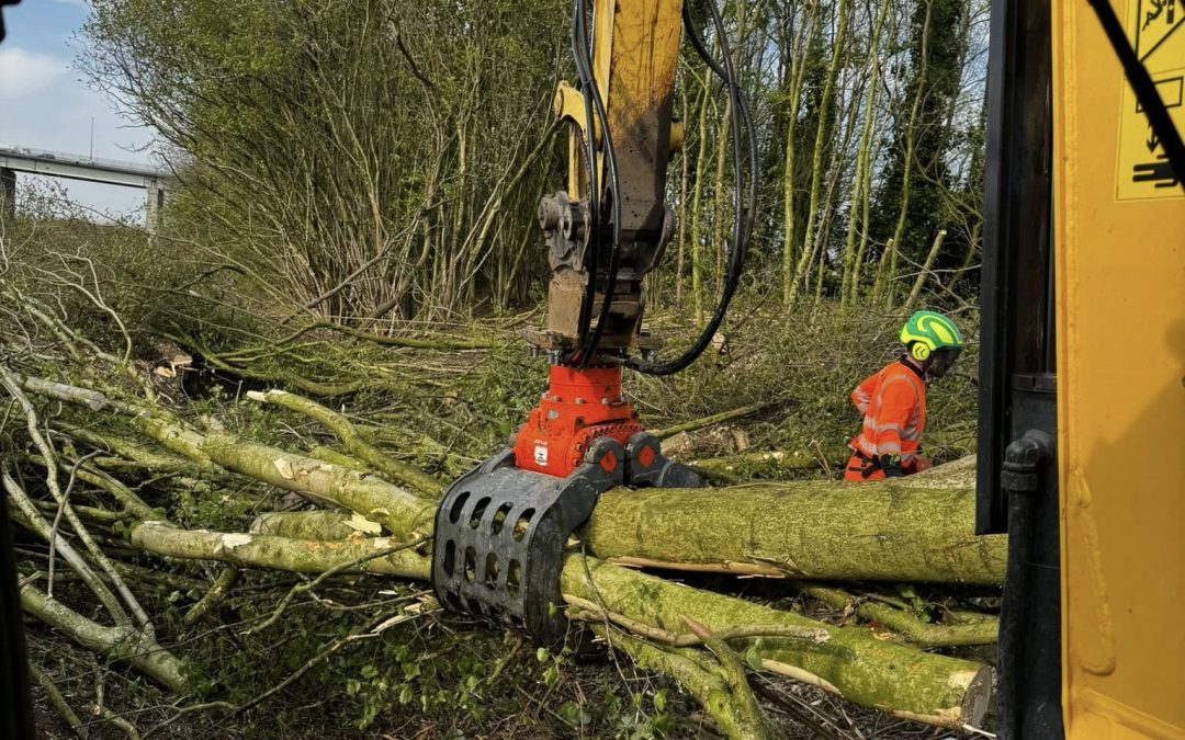 What Is Site Clearance and Why It’s Crucial Before Any Landscaping or Construction Work