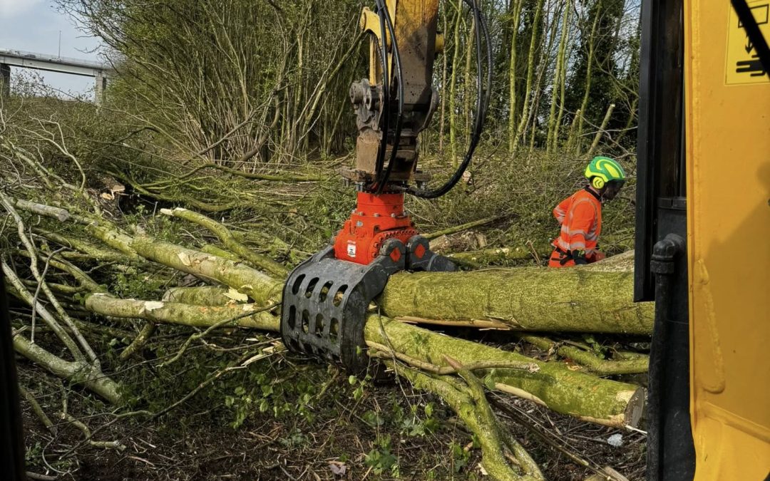 What Is Site Clearance and Why It’s Crucial Before Any Landscaping or Construction Work